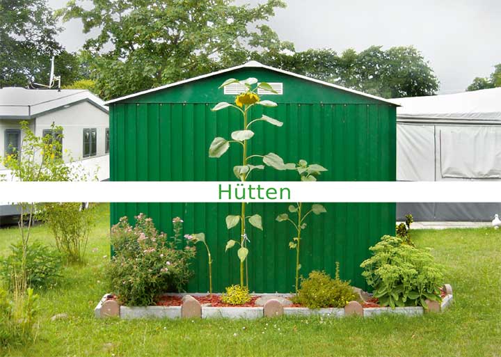 Hütten-Titel